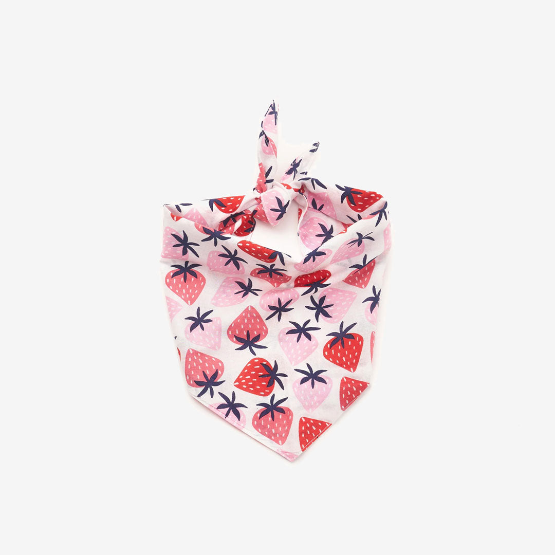 Close up fabric detail of a 100% cotton dog bandana patterned with fresh pink and red strawberries