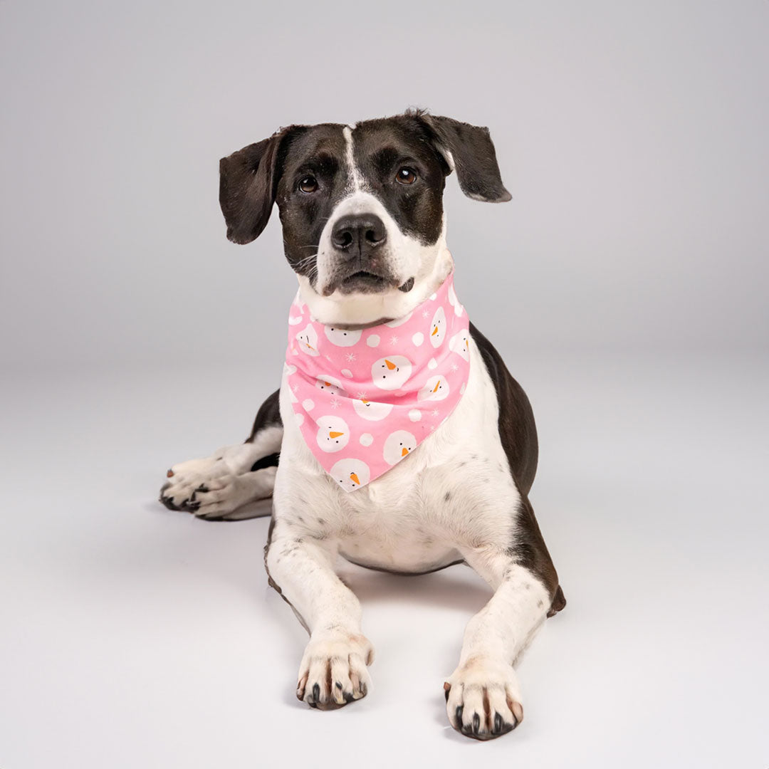 Dog wearing a 100% cotton dog bandana with patterned with snowmen faces on pink fabric