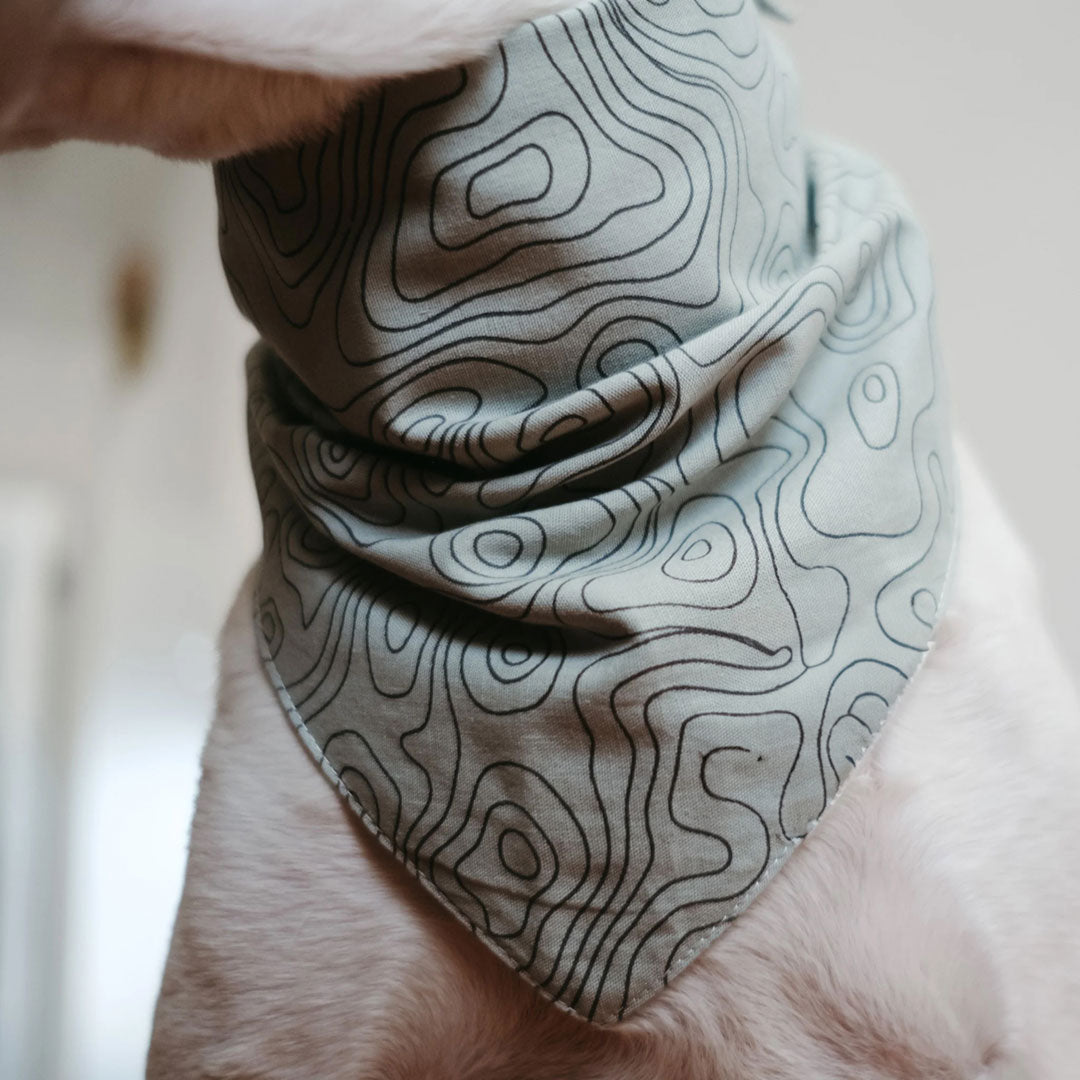 Trail | Dog Bandana