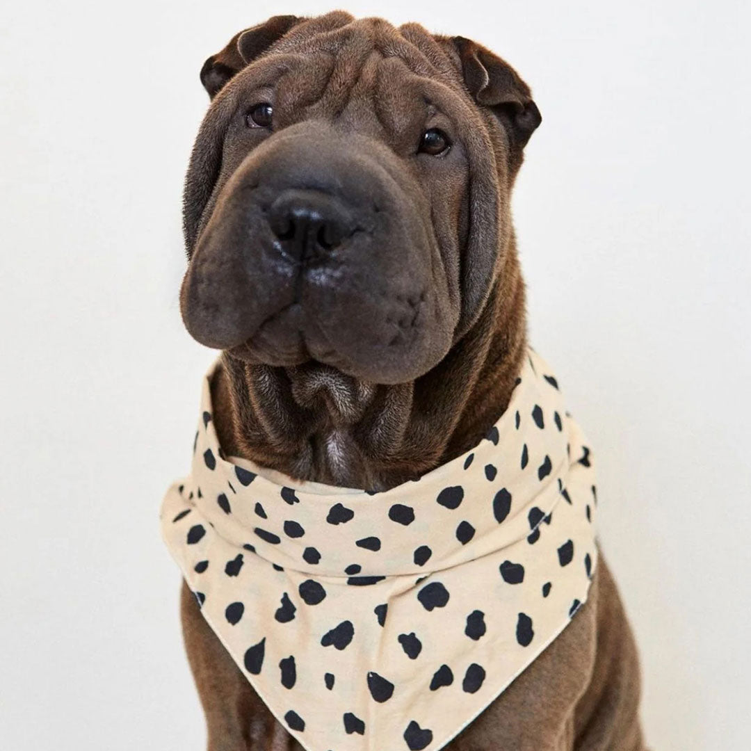 Good Boy | Dog Bandana