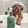 Balancing Eucalyptus | Dog Shampoo