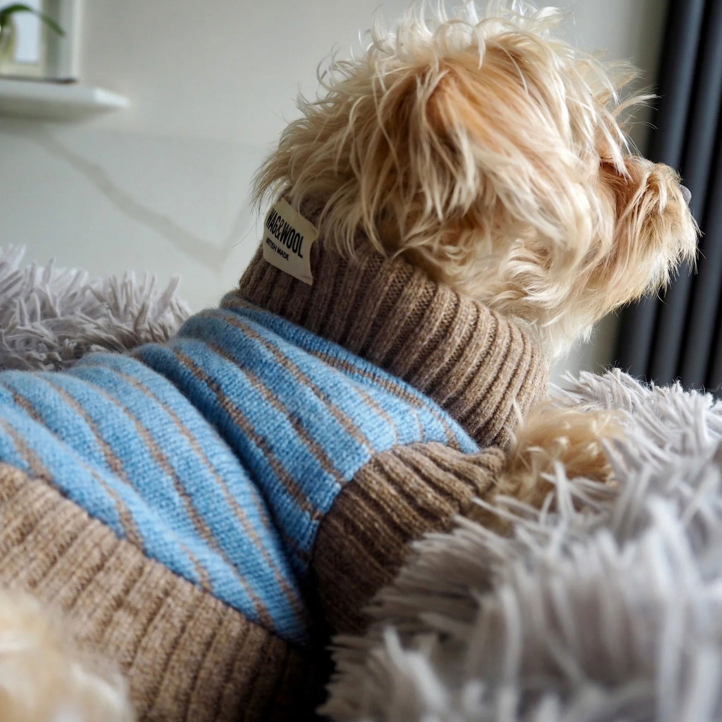 Sky Blue | Lambswool Jumper