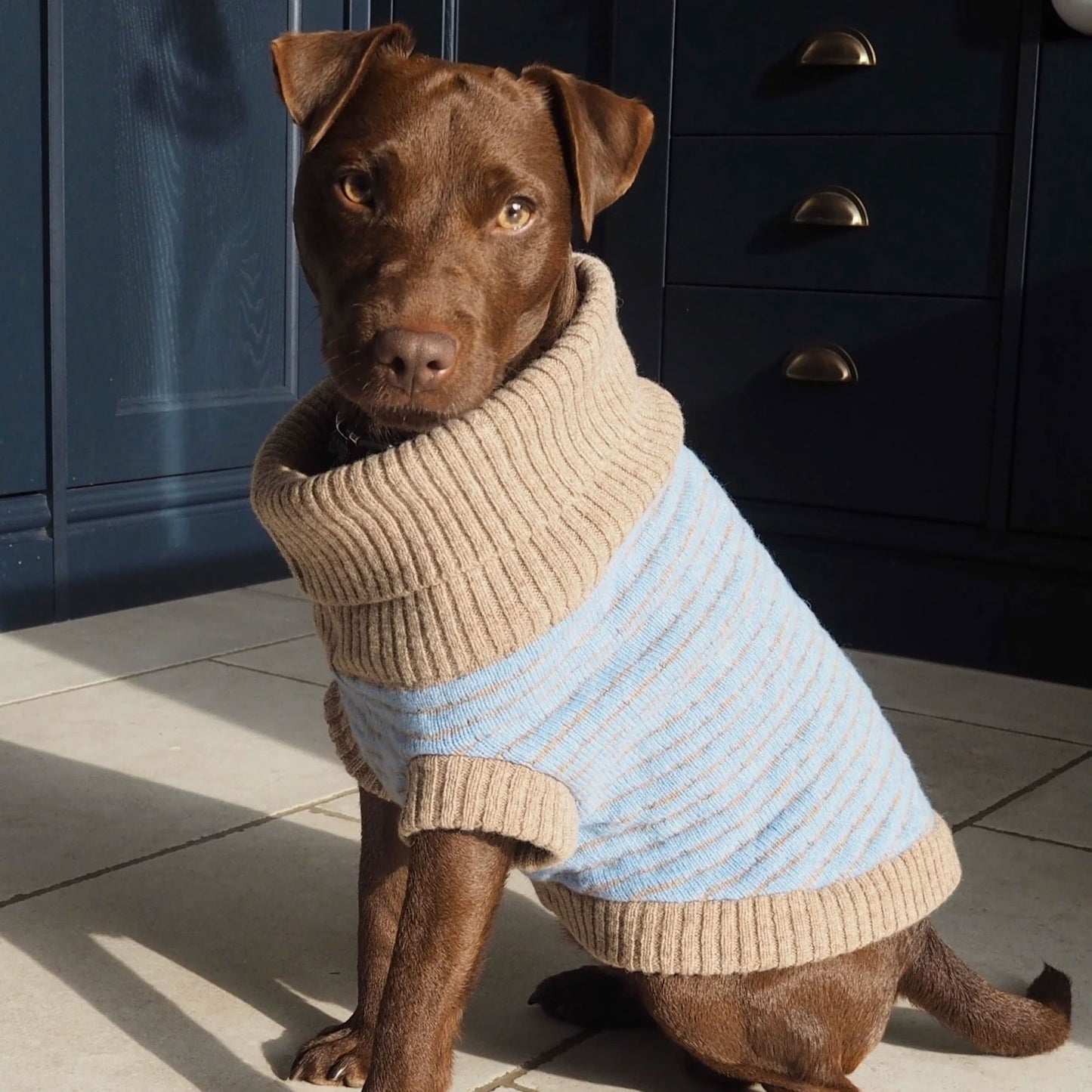 Sky Blue | Lambswool Jumper