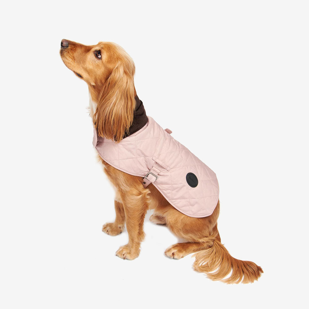 A golden retriever sits elegantly in a stylish light pink quilted coat, showcasing its luxurious fur against a simple white background.