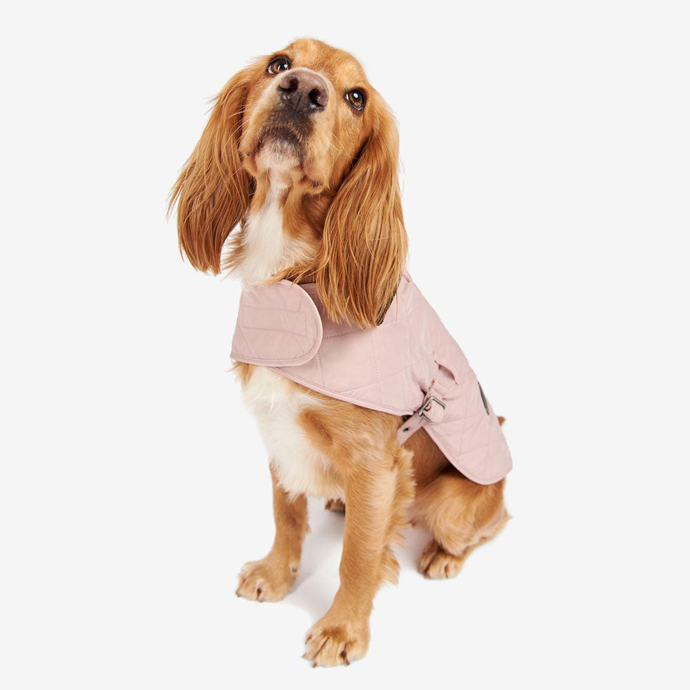A stylish dog with long fur wears a light pink quilted coat, sitting calmly and looking up with a curious expression.