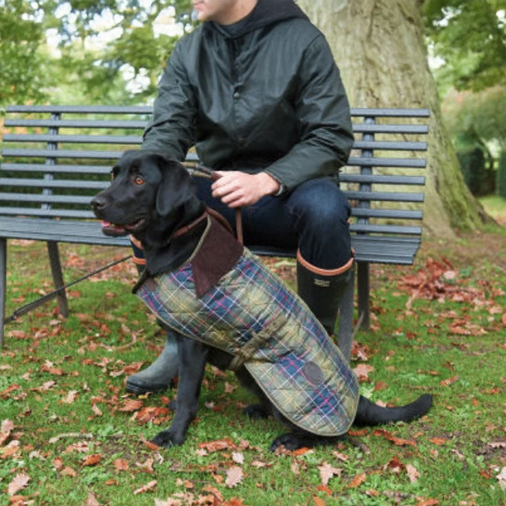 Barbour Waterproof Dog Coat | Tartan
