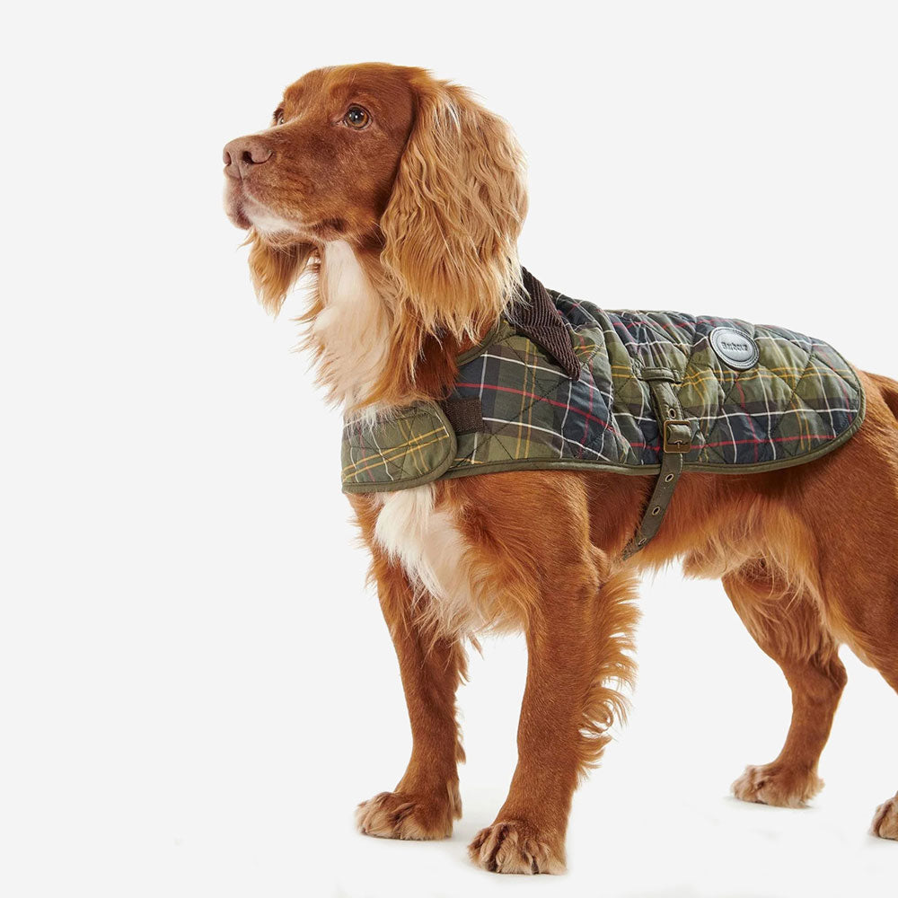 Barbour Waterproof Dog Coat | Tartan