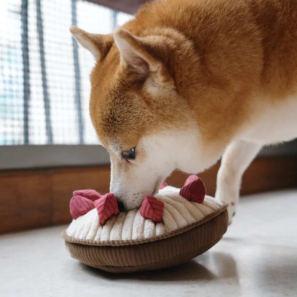 Dog snuffling in a cream plush berry pie, dog toy. With eleven rose coloured berries on a cream fabric and brown base.