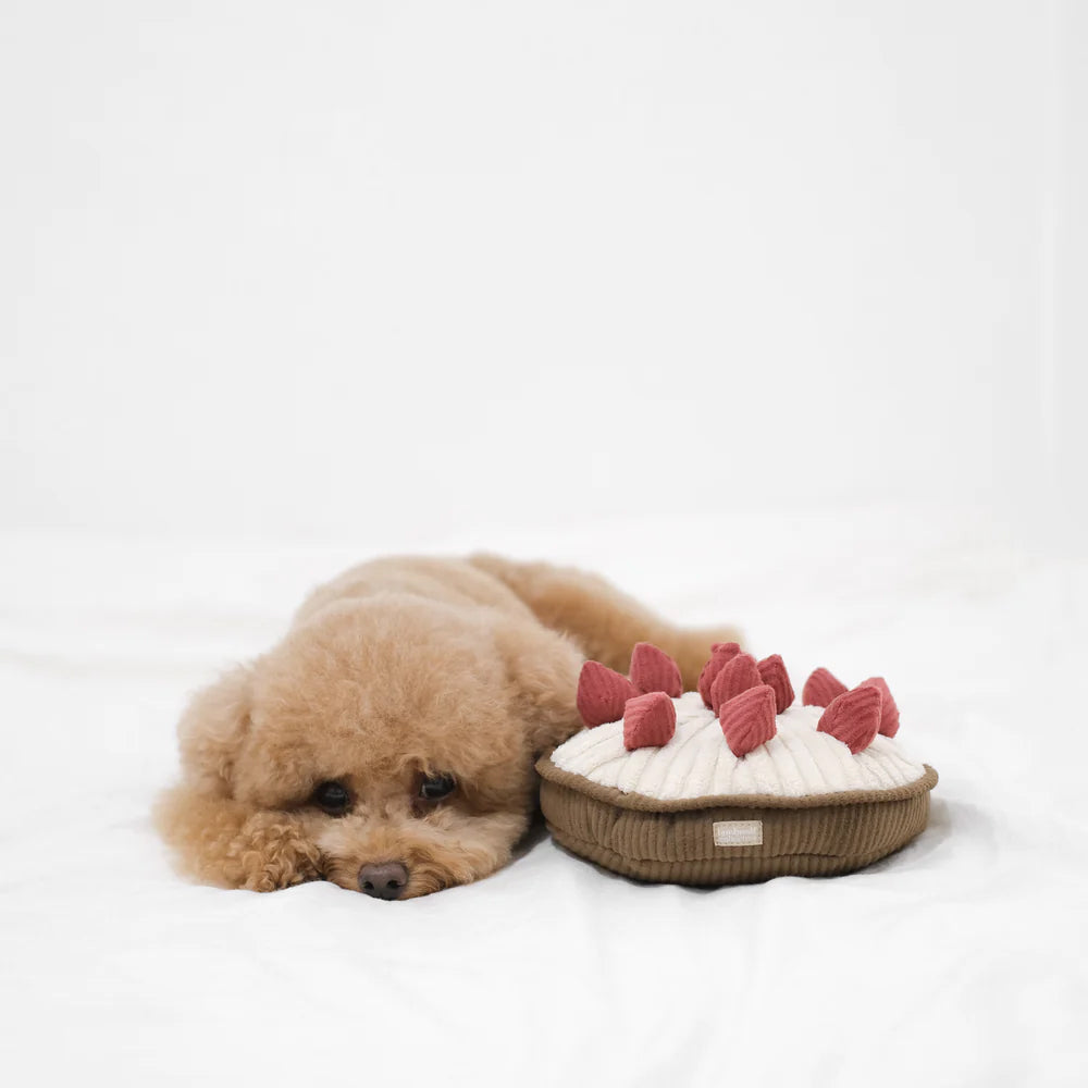 Cute apricot poodle, lying next to A cream plush berry pie, dog toy. With eleven rose coloured berries on a cream fabric and brown base. 