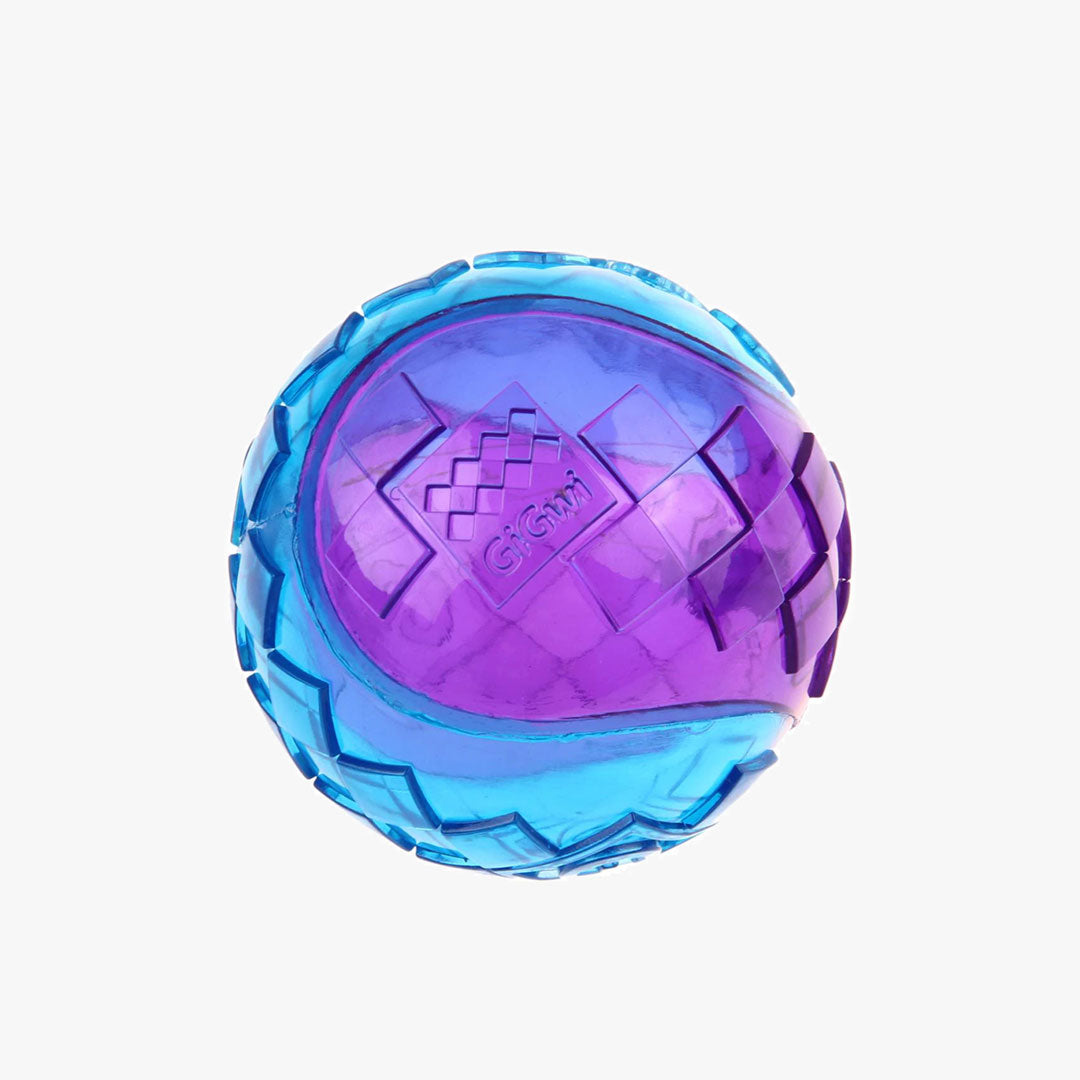 A shiny purple and blue, gigwi dog ball