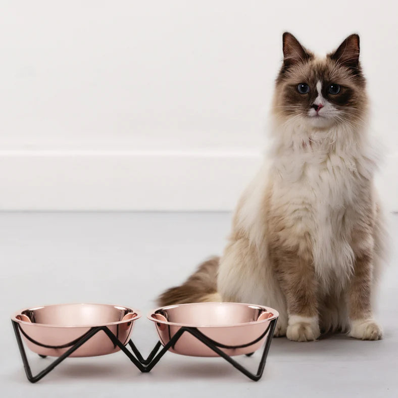 Designer Pet Bowl by Bendo is made for kitty cats who prefer a seat at the table, MEOW MEOW brings fine dining back to ground level. An ultra-lux cat bowl, elevated by a minimalist, powder-coated steel stand. Shop Online at StevieLicksx® Pet Boutique and general supplies store.