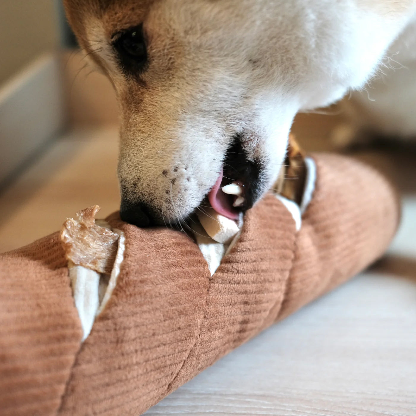 Dog licking a dog treat inside a snuffle pocket on french baguette plush dog toy.