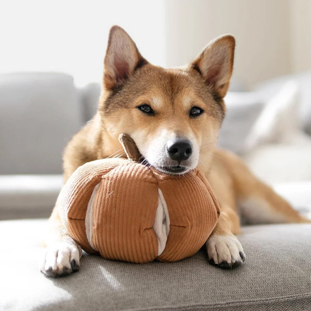 Wolf like looking dog lying with his face on top of a Rust coloured pumpkin snuffle enrichment toy with cream pockets.