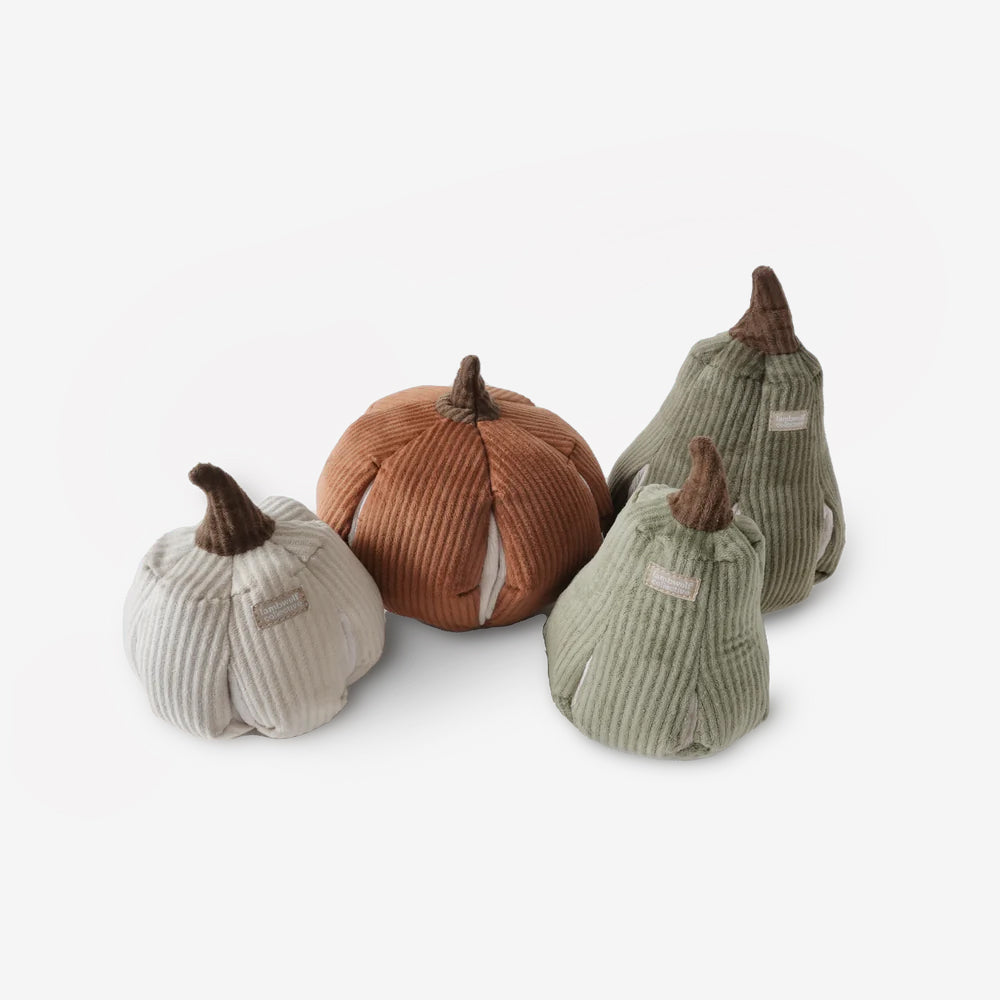 A collection of farmers market plush dog toys with snuffle pockets. 1 pumpkin and a small and large pear.