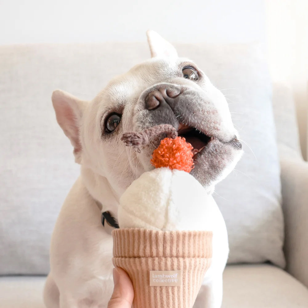 White French bulldog softly biting Lambwolf Collective's plush ice cream pop dog toy.