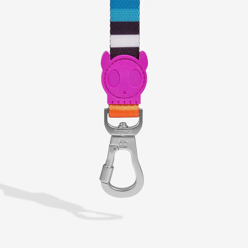 Prisma | Dog Leash