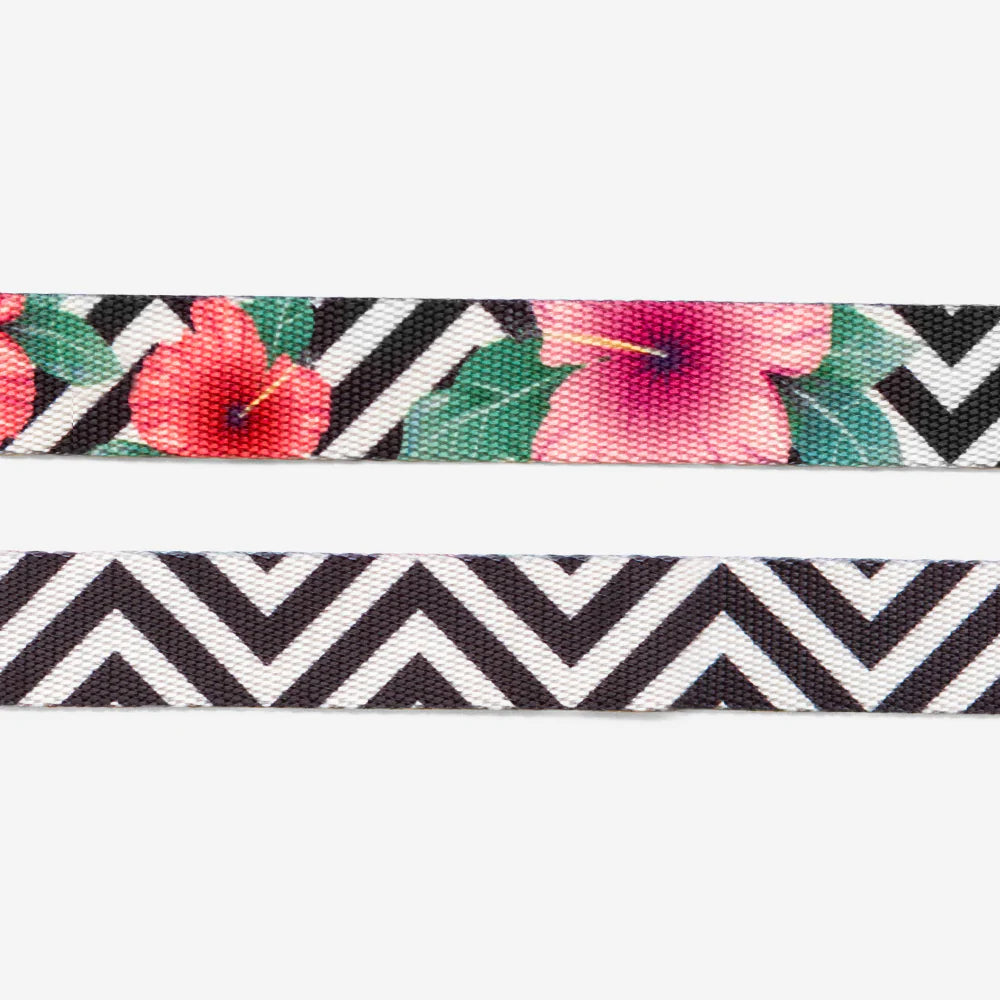 Mahalo | Cat Collar