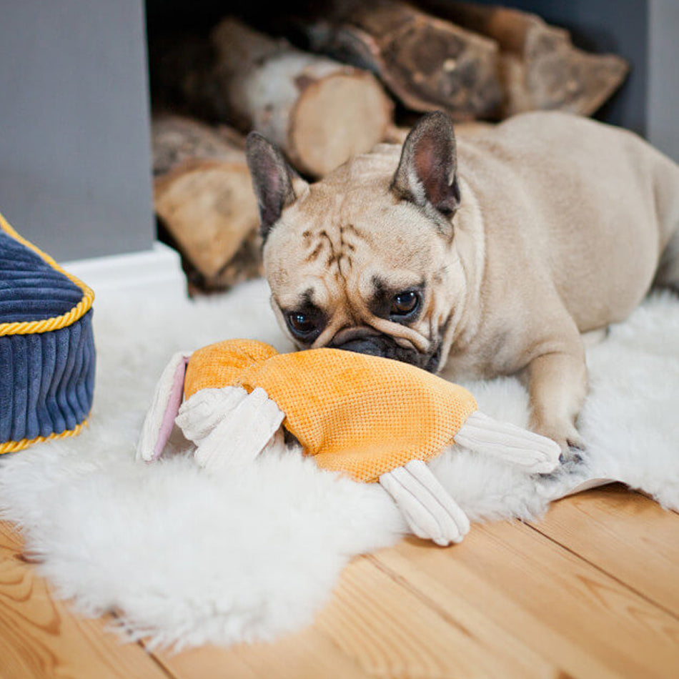 french bulldog playing with a plush dog toy donkey orange body cream arm and legs and pink ears