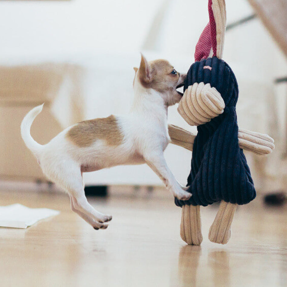 a tiny puppy playing with a plush dog toy donkey with a navy blue body cream arm and legs and pink ears