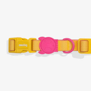 NeoPro Lyra | Dog Collar