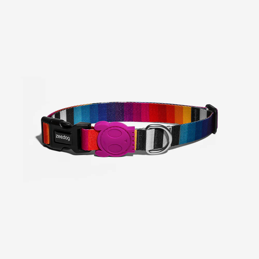 Prisma | Dog Collar