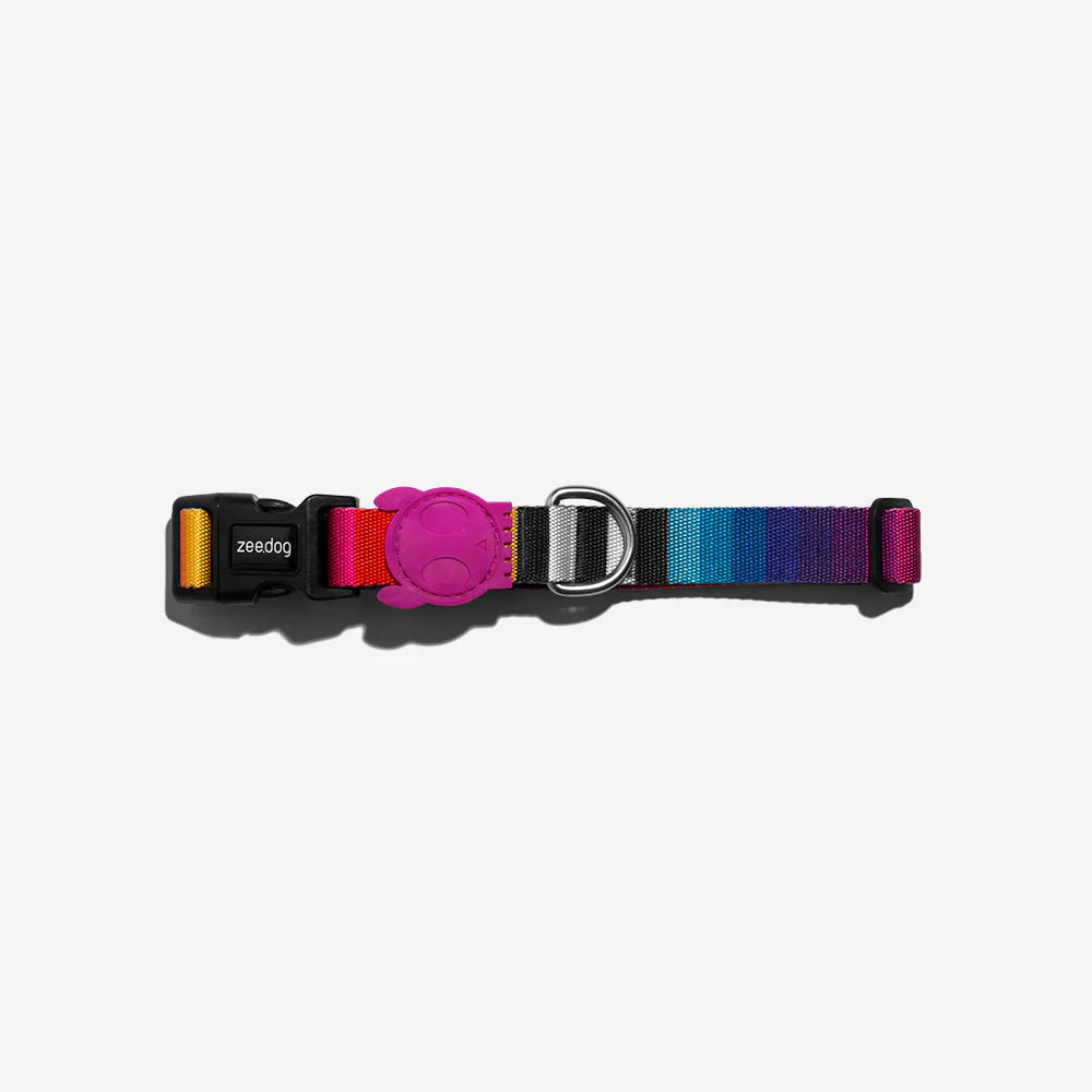 Prisma | Dog Collar