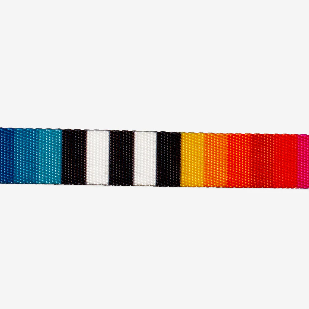 Prisma | Dog Collar