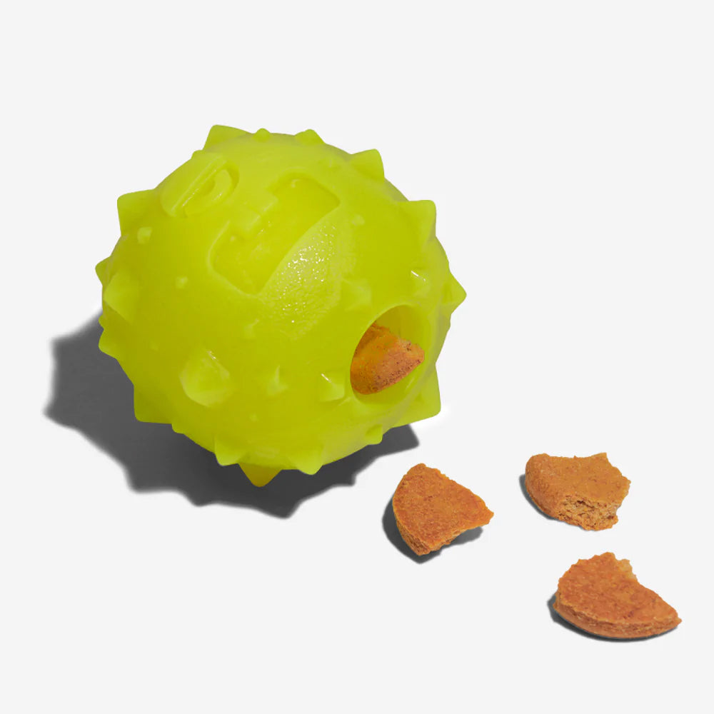 Rob The Microbe | Treat Dispensing Toy