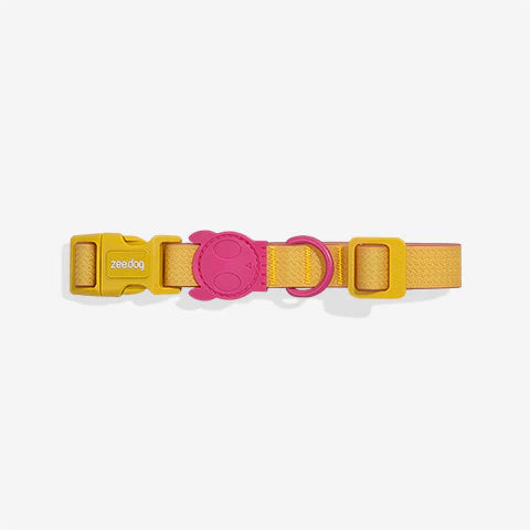 NeoPro Lyra | Dog Collar